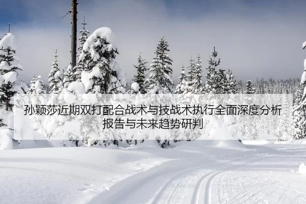 sun-ying-sha-jin-qi-shuang-da-pei-he-zhan-shu-yu-ji-zhan-shu-zhi-xing-quan-mian-shen-du-fen-xi-bao-gao-yu-wei-lai-qu-2-167.jpg