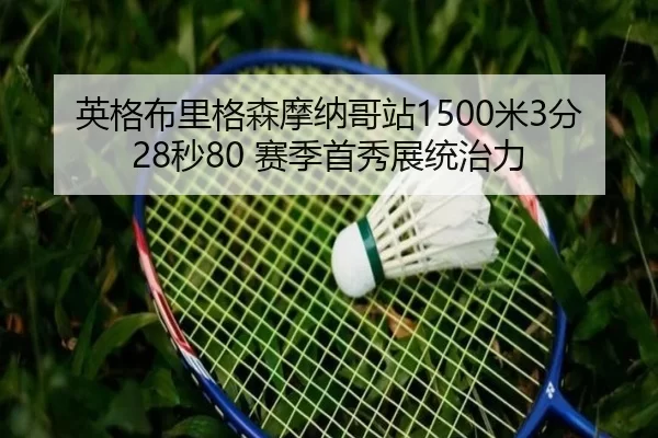 ying-ge-bu-li-ge-sen-mo-na-ge-zhan-mi-fen-miao-sai-ji-shou-xiu-zhan-tong-zhi-li-2-437.jpg